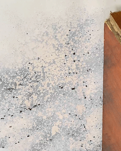 🔥👍Fast Acting Anti-Mold Wall Cleaner Spray