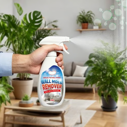 🔥👍Fast Acting Anti-Mold Wall Cleaner Spray