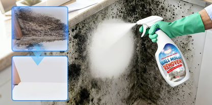 🔥👍Fast Acting Anti-Mold Wall Cleaner Spray
