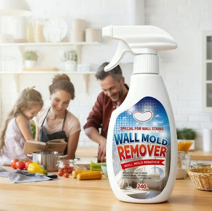 🔥👍Fast Acting Anti-Mold Wall Cleaner Spray