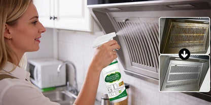 Multifunctional Kitchen Appliance Cleaner
