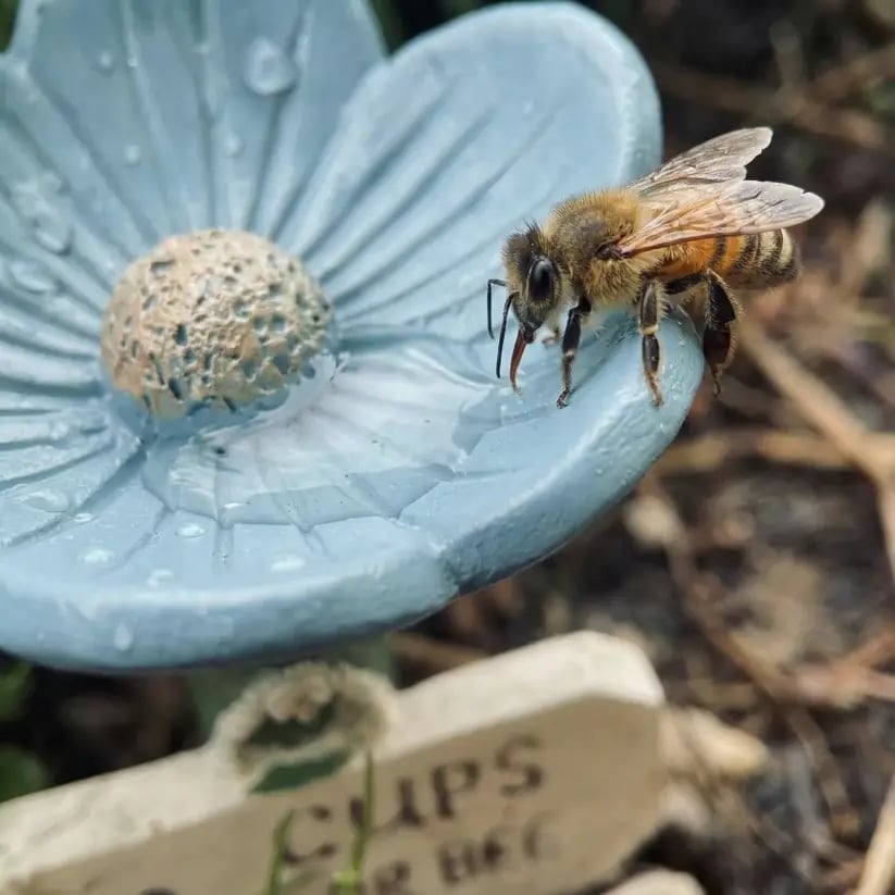 🌸Flower-Shaped Resin Bee Watering Station🐝