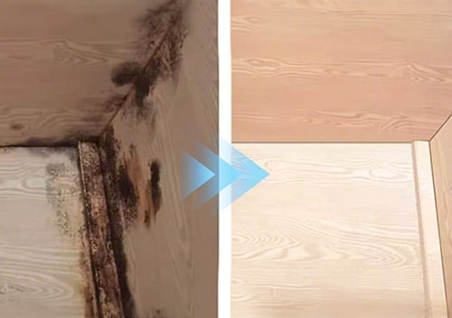 🔥👍Fast Acting Anti-Mold Wall Cleaner Spray
