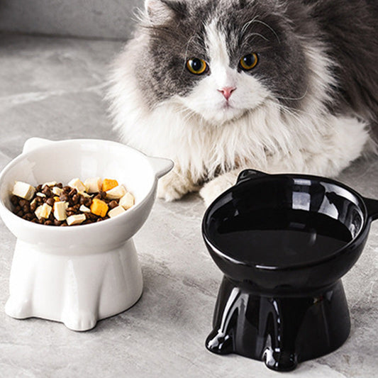 💝Ergonomic Elevated Cat Bowl