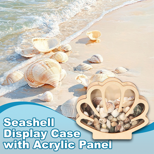 🦪 Seashell Display Case with Acrylic Panel 🌊