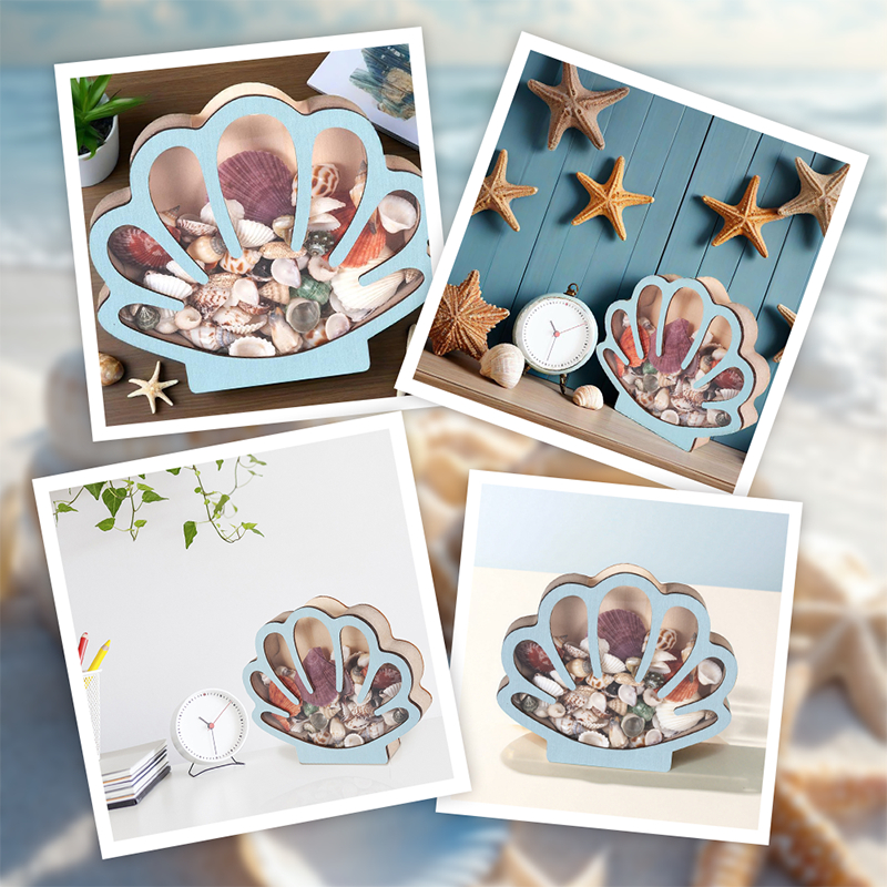 🦪 Seashell Display Case with Acrylic Panel 🌊