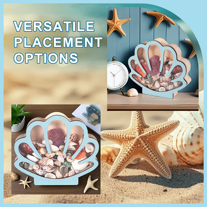 🦪 Seashell Display Case with Acrylic Panel 🌊