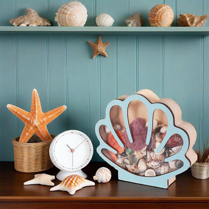 🦪 Seashell Display Case with Acrylic Panel 🌊